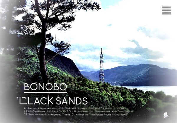 Black Sands Ninja Tune Vinyle Electronica Album 2 Disques