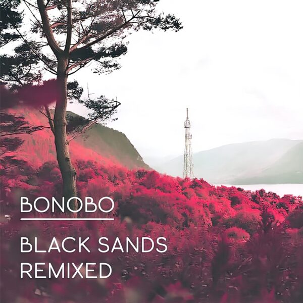 Black Sands Remixed CD Electronica Ninja Tune France