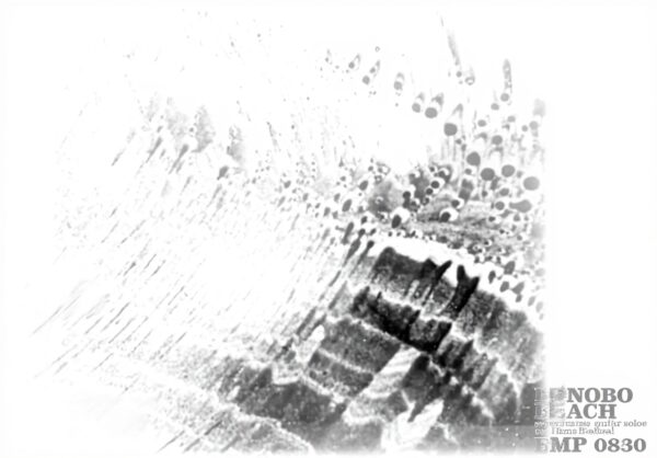 Bonobo Beach Jazz CD CorbettvsDempsey vinyle français