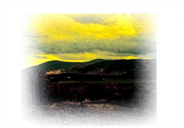 Bonobo Black Sands Remixed 2018 Album Musique Electronique