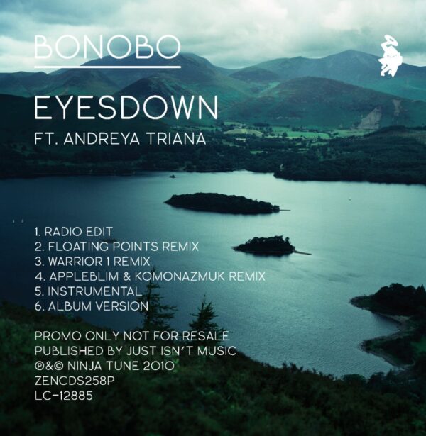 Electronica Eyesdown Ninja Tune vinyle dance electro-0