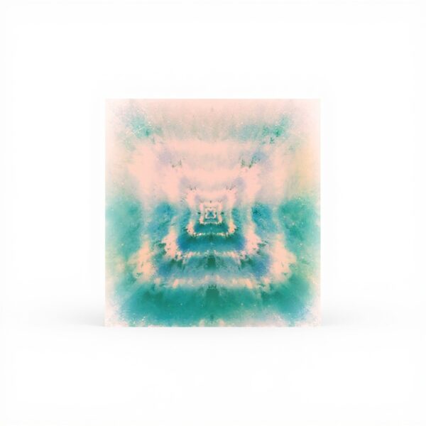 First Fires Ninja Tune Electronica Vinyle Album Musique