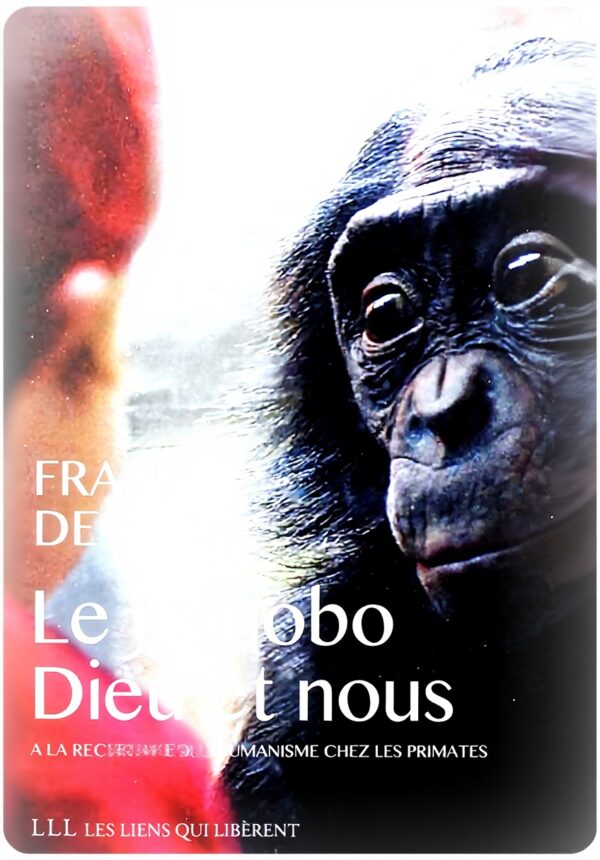 Figurine bonobo primate collection décoration maison