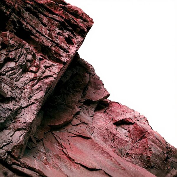 Vinyle Linked Family Ninja Tune Allemagne Edition