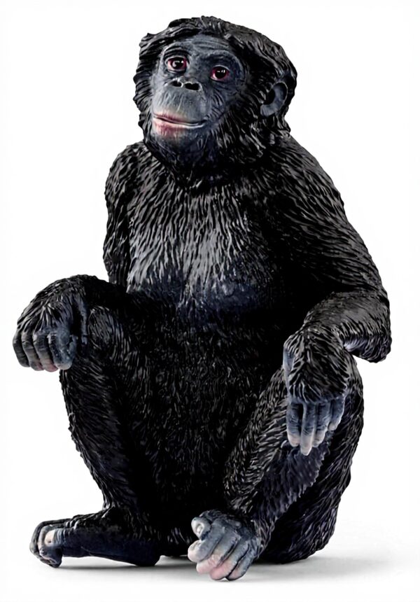 Figurine Schleich Bonobo Femelle Animaux Sauvages Enfant 3