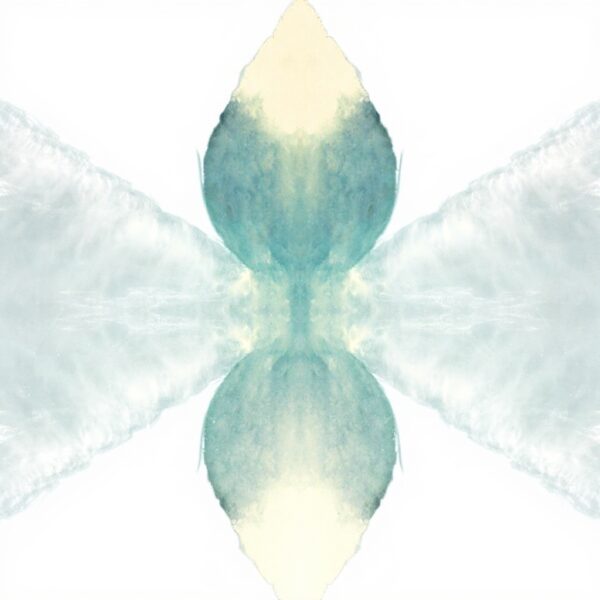 The North Borders Vinyle Electronica Ninja Tune 2013