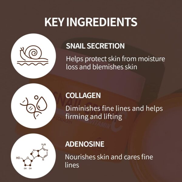 Crème escargot anti-âge The Skin House hydratation visage-4