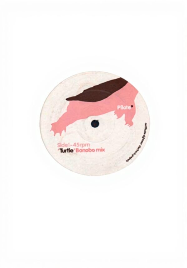 Vinyle Turtle 12 pouces single Certificate 18 disque